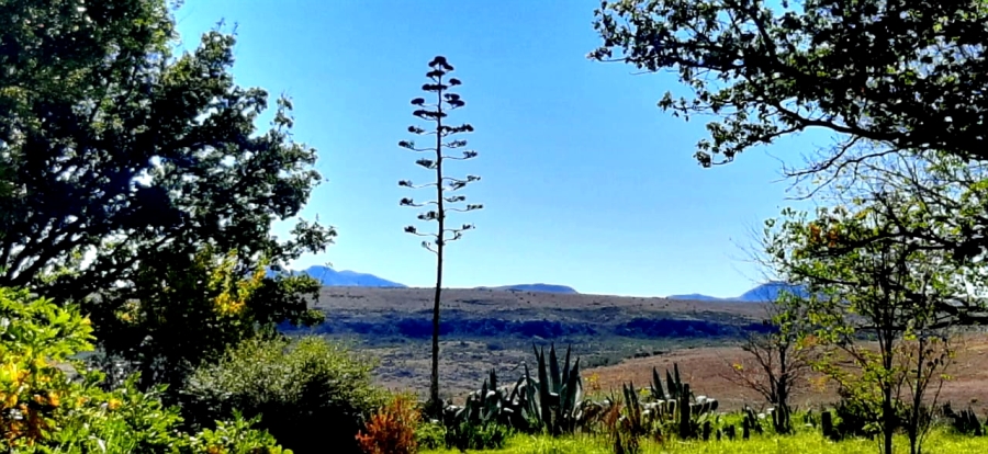 9 Bedroom Property for Sale in Fouriesburg Free State